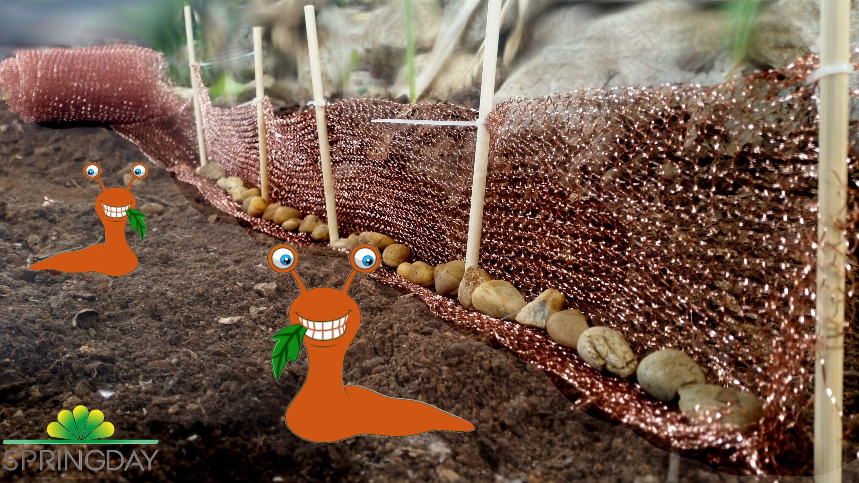 Schneckengitter und Kupfergeflecht gegen Schnecken: warum und wie?