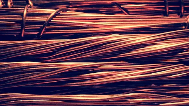 Kupfer ist eine Barriere gegen Schnecken