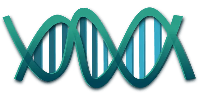 DNA von Pflanzen